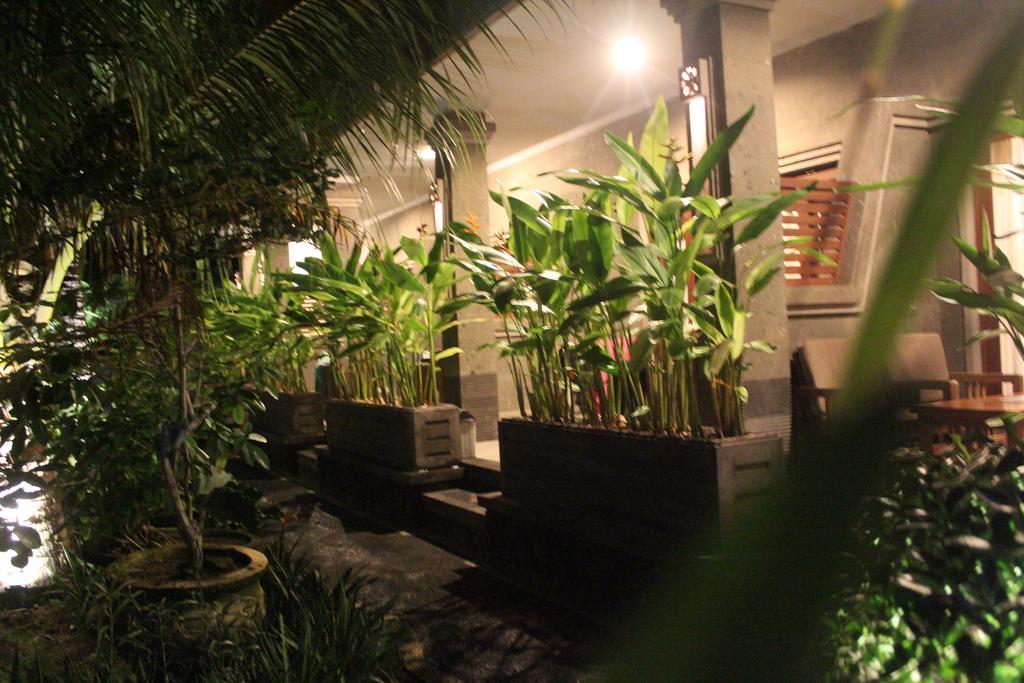 Letos Kubu Homestay Kuta Lombok Dış mekan fotoğraf